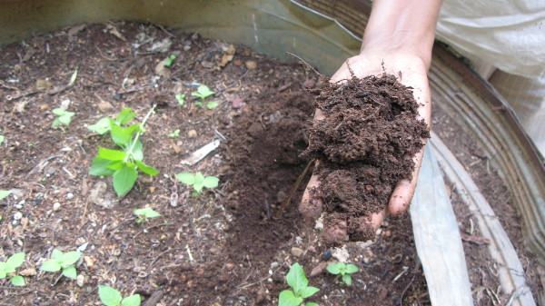 Compost, compostaggio, impianto di compostaggio, compost maturo, compost per uso agricolo