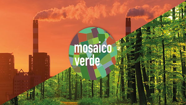 Sviluppo sostenibile. Mosaico Verde: oltre 280.000 alberi per foreste e parchi in Italia