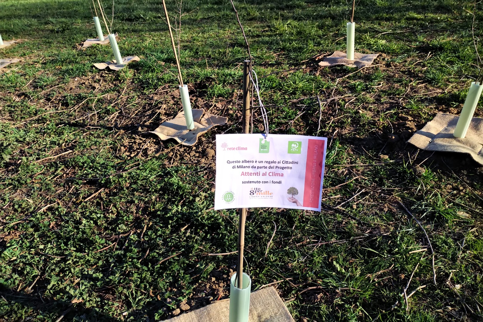 Earth Day. Da PEFC e Rete Clima cento nuovi alberi per il Parco Nord di Milano