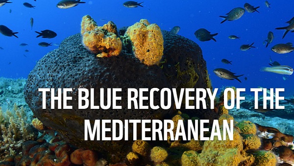 blue recovery plan Mediterraneo