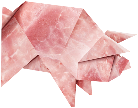 pig_01.png