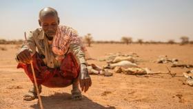 siccità e desertificazione