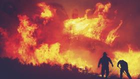Incendi e clima. PEFC: fondamentale la prevenzione a tutela patrimonio forestale