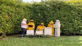 Giornata Mondiale Api.  Anziani e studenti si prendono cura delle api nelle aree verdi delle RSA Korian di Milano 