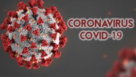 coronavirus - covid-19
