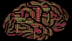 cervello [foto di John Hain da Pixabay]