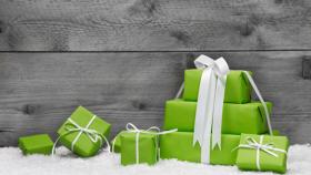 Natale Eco: in aumento regali green, riciclo ed efficienza energetica