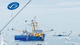 pesca sostenibile certificata