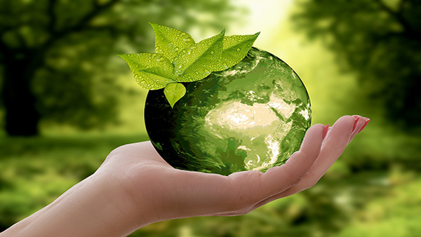 Mondo Sostenibile [Pixabay License. Libera per usi commerciali. Attribuzione non richiesta]