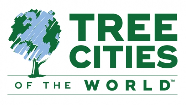 Tree Cities of the World, alberi in città
