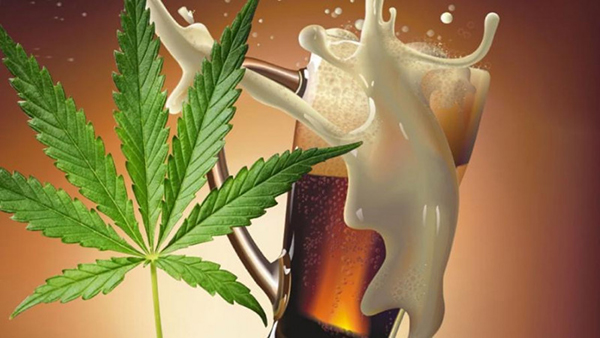 Cannabis light: nasce la Birra CBD JustMary: ricetta unica e artigianale