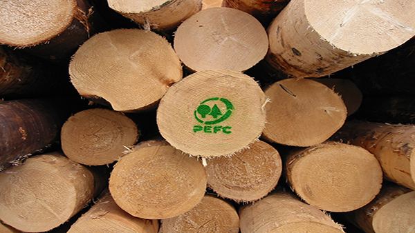 Packaging Sostenibile per l'Agroalimentare: l'importanza di carta e cartone certificati PEFC