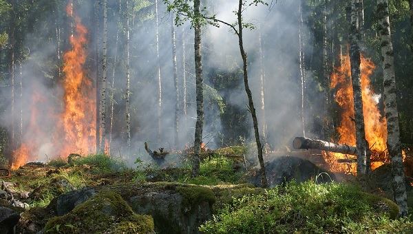 rischio incendio foreste