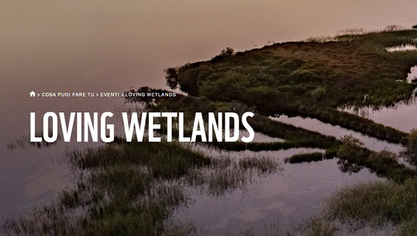loving wetlands