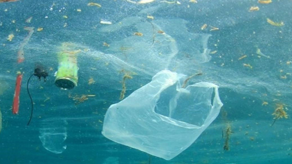 mare inquinamento plastica