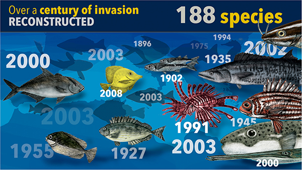 L'invasione dei pesci alieni nel Mediterraneo