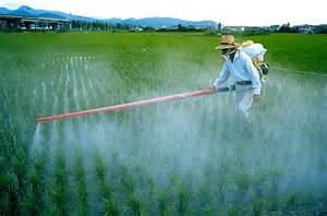 Ambiente: Italia leader in europa per consumo di pesticidi