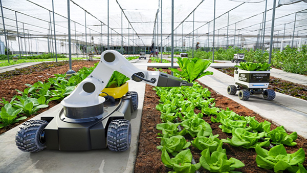 robot_agricultura_report_protolabs