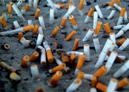 Giornata mondiale senza tabacco: 6 mln di morti l'anno per il fumo. E danni anche all'ambiente