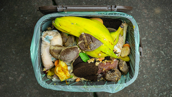 spreco alimentare - Foto di Gareth Willey da Pexels