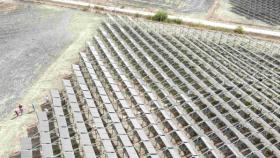 Vinitaly,vigna agrivoltaica 