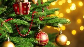 alberi di Natale veri e certificati, Sostenibilità