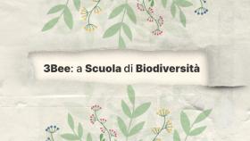 3Bee: a scuola di biodiversità, programma sostenibilità