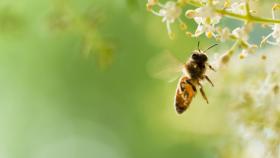 Oasi della Biodiversità