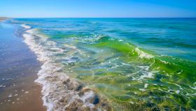 Clima, desertificazione oceanica, cambiamento climatico