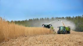 Agricoltura sostenibile: un metodo di coltivazione che guarda al futuro 