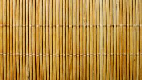 Bamboo Import
