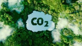 COP28, combustibili fossili 