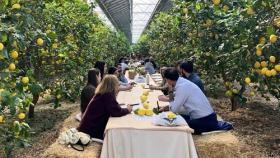 Nasce il Convivio Agrivoltaico di AIAS alla scoperta del valore condiviso