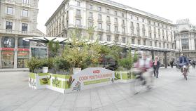 COOP Youth Experience: 10.000 alberi mettono radici in 10 città