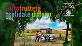 biodiversità, inclusione, Despar, ortofrutteti solidali