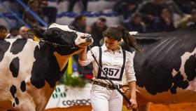 Fiere Zootecniche Internazionali di Cremona sostenibilità e innovazione per l'agrozootecnia italiana