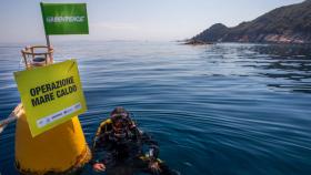 Greenpeace, cambiamenti climatici