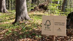 FSC® Forest Week 2022