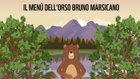 Food Week,uomo e orso