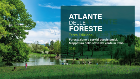 Legambiente, Atlante delle Foreste: dai nuovi boschi un tesoro dal valore di oltre 23,5 milioni di euro l'anno