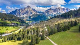 Mosaico Verde: 267.000 alberi contro il climate change