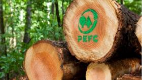 foreste PEFC