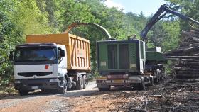 Dal bosco alla caldaia: col cippato locale fino al 95% di risparmio di CO2 rispetto alle fonti fossili