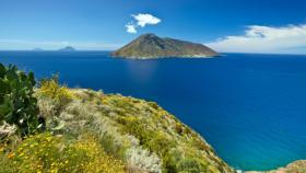 Tutela del mare, Area di Educazione Marina Locale SEATY 