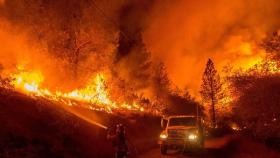 Incendi e crisi climatica