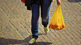 sacchetti biodegradabili e compostabili