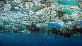 marine litter