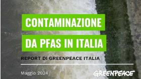 Report Geenpeace_PFAS