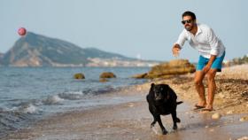  vacanza pet-friendly 