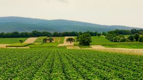 Giornata mondiale dell'ambiente